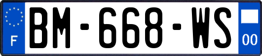 BM-668-WS