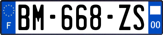 BM-668-ZS