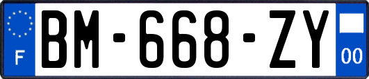 BM-668-ZY