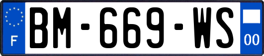BM-669-WS