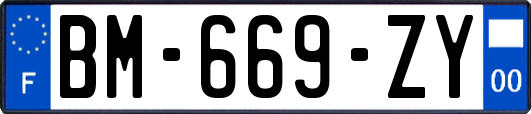 BM-669-ZY