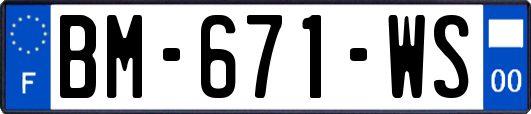BM-671-WS