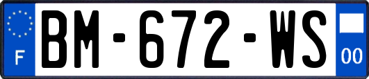 BM-672-WS