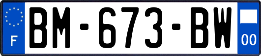 BM-673-BW