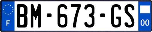 BM-673-GS