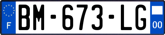 BM-673-LG