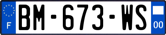 BM-673-WS