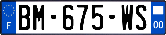 BM-675-WS
