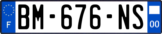 BM-676-NS