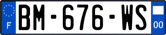 BM-676-WS