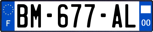 BM-677-AL