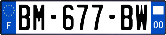 BM-677-BW