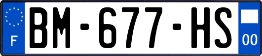 BM-677-HS