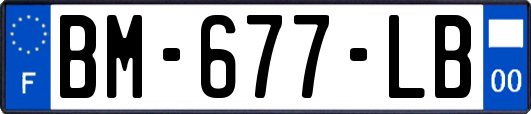 BM-677-LB