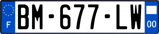 BM-677-LW