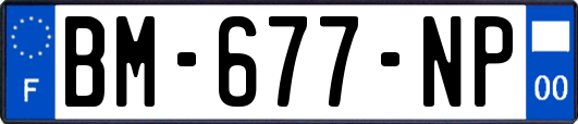 BM-677-NP