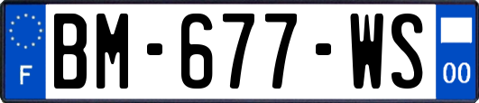 BM-677-WS