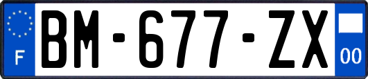 BM-677-ZX