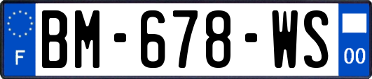 BM-678-WS