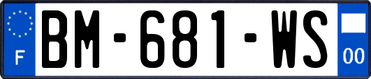 BM-681-WS