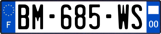 BM-685-WS