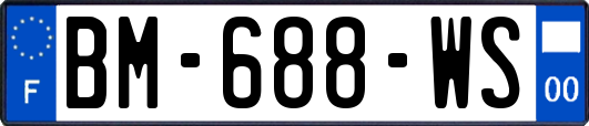 BM-688-WS
