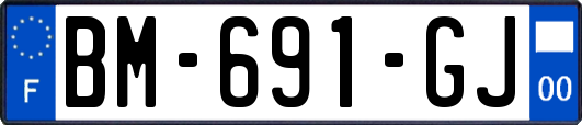 BM-691-GJ