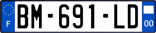 BM-691-LD