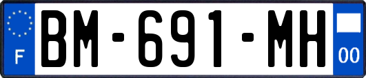 BM-691-MH