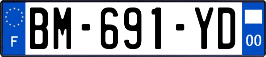 BM-691-YD