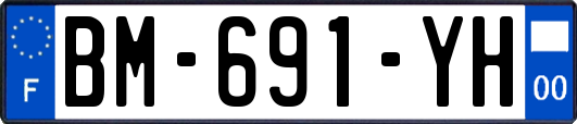 BM-691-YH