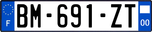 BM-691-ZT