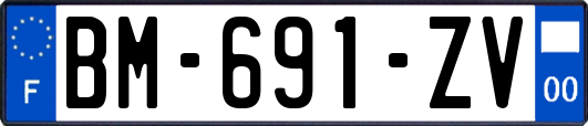 BM-691-ZV