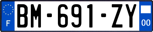 BM-691-ZY