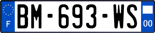 BM-693-WS