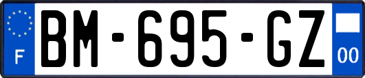 BM-695-GZ