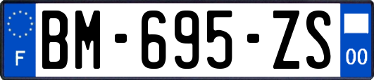 BM-695-ZS