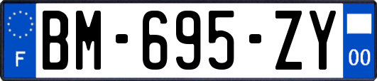 BM-695-ZY