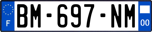 BM-697-NM