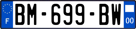 BM-699-BW