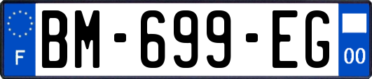 BM-699-EG