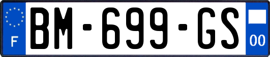 BM-699-GS