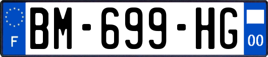 BM-699-HG