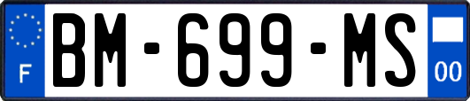 BM-699-MS