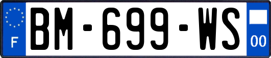 BM-699-WS
