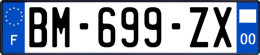 BM-699-ZX