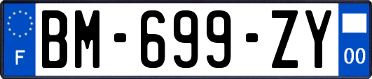 BM-699-ZY