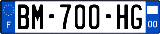 BM-700-HG