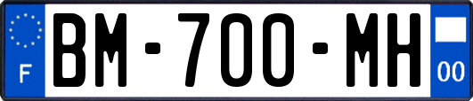 BM-700-MH