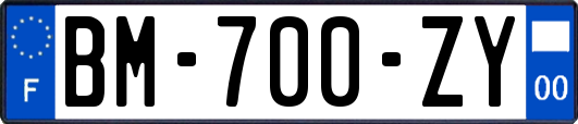 BM-700-ZY